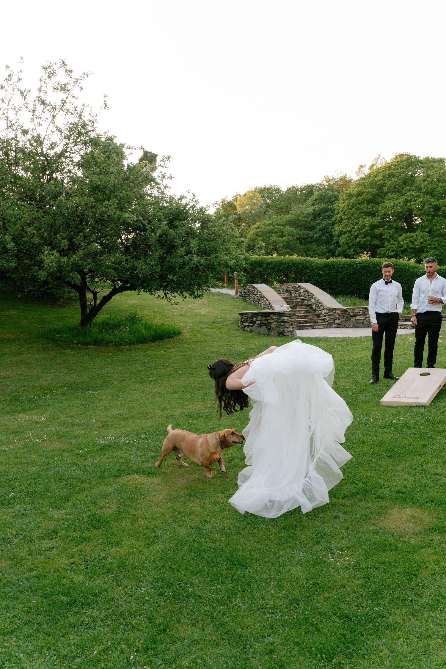 Wedding party and dogs gather on grass near white decorative elements outdoors.
