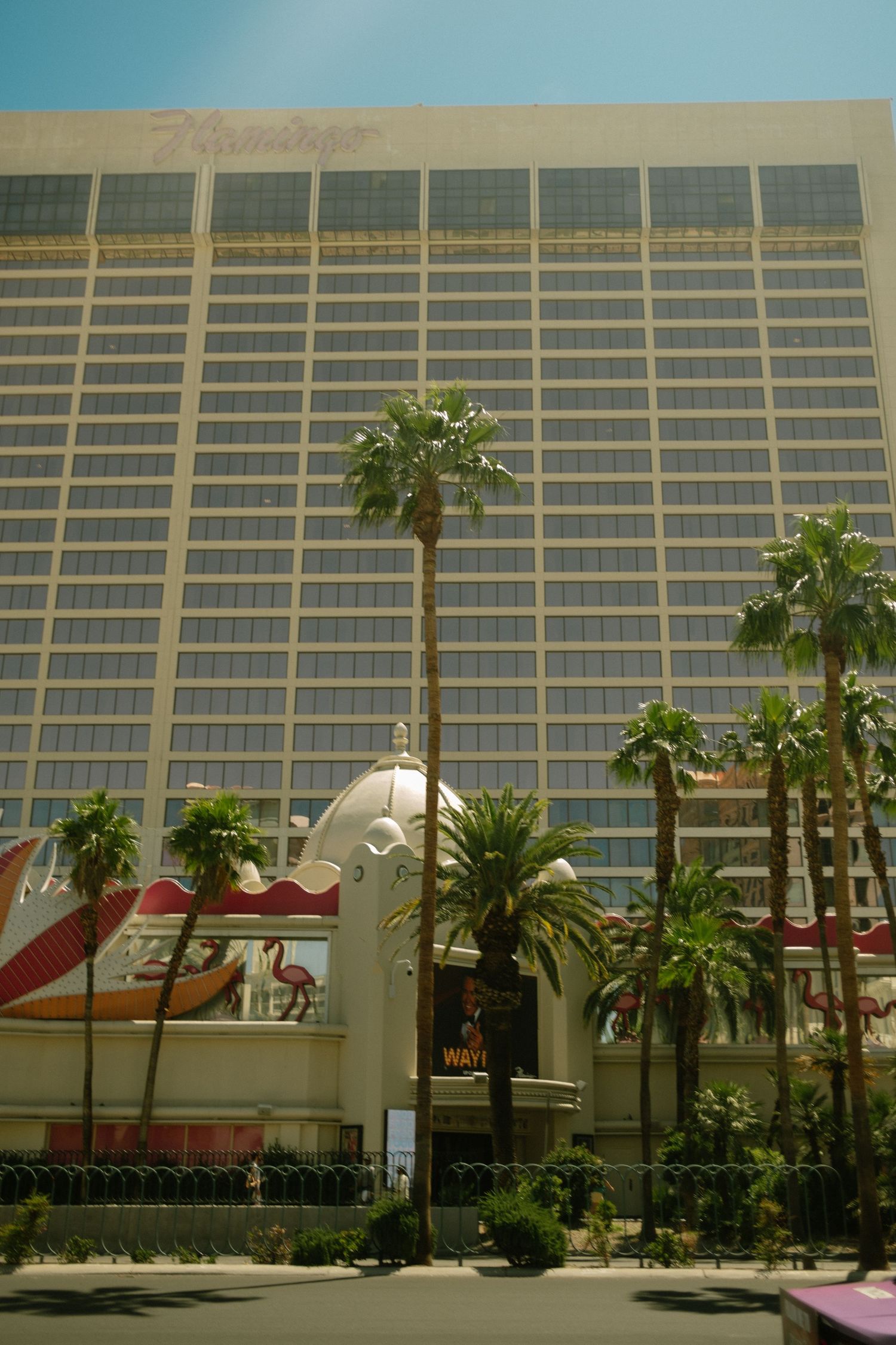 Modern Las Vegas hotel exterior with palm trees and desert landscaping.