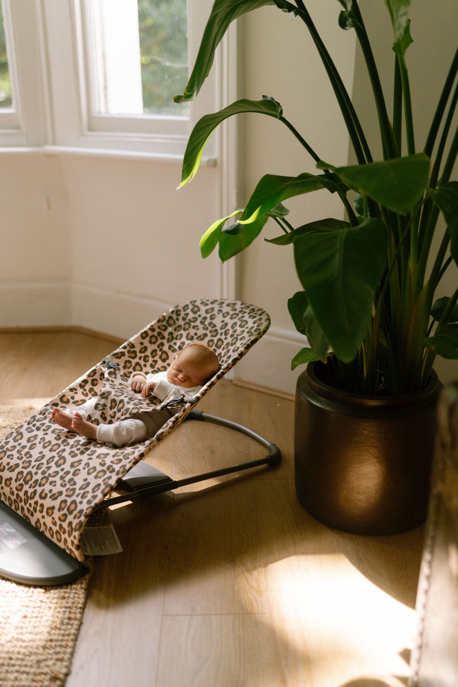 Baby napping on a leopard print lounger next to indoor plants in sunlit room.