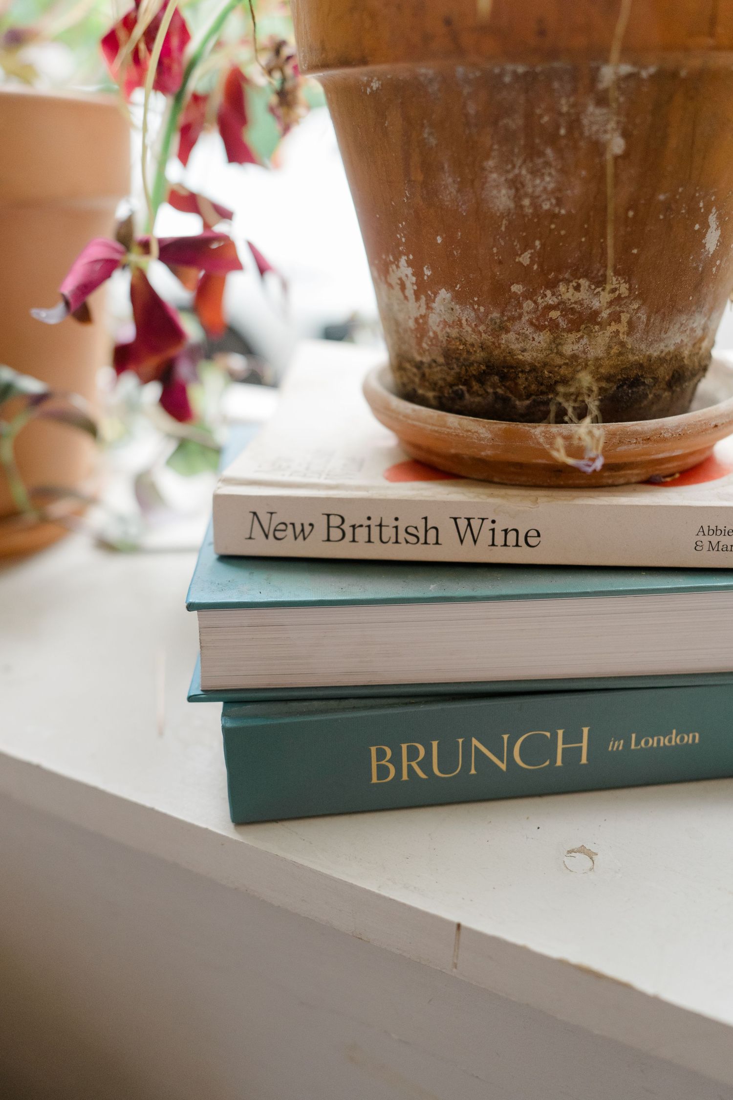 Stack of New British Wine and Brunch in London books on windowsill beside terracotta plant pots.