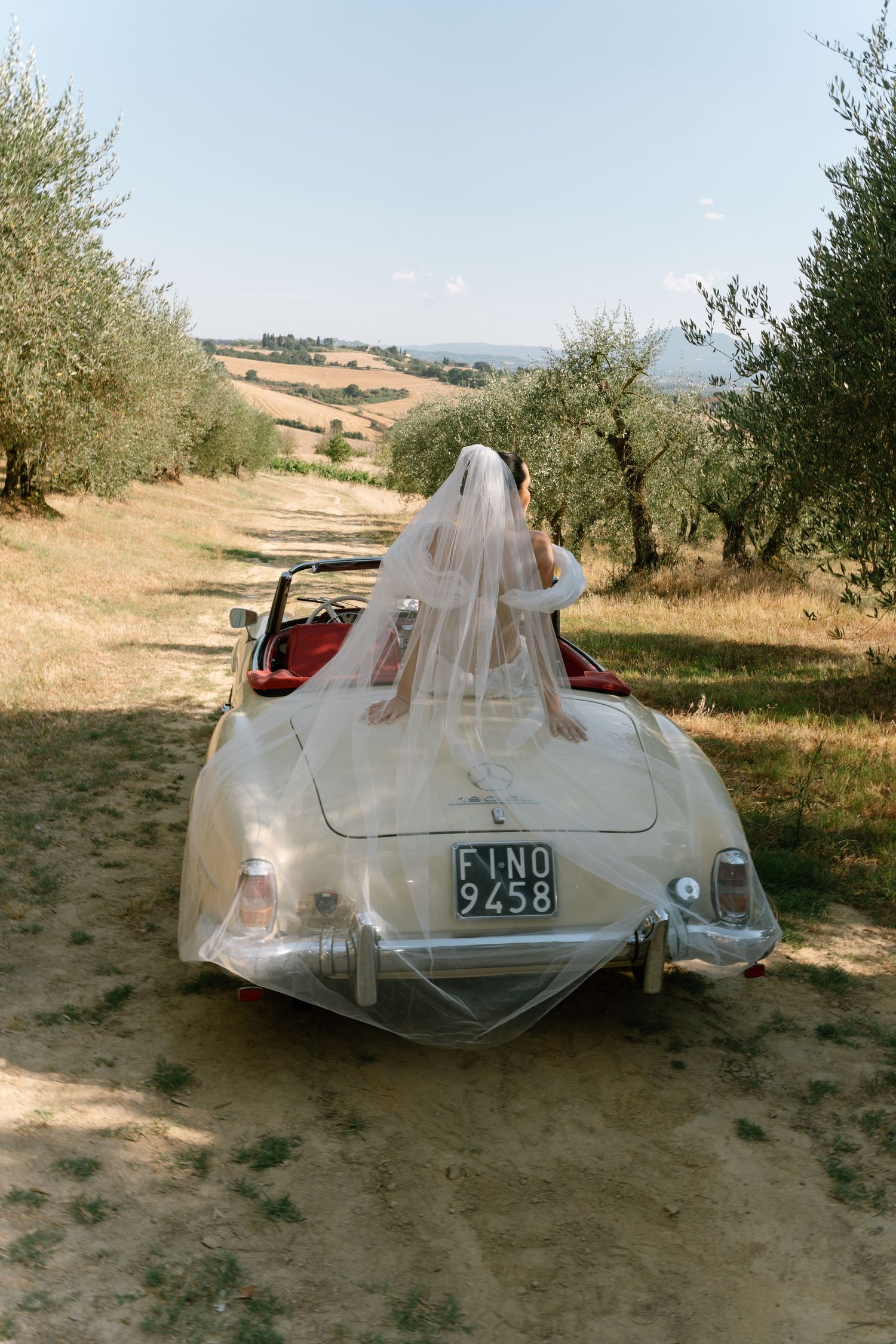 Classic white vintage car with flowing veil driving through an olive grove in the Italian countryside.