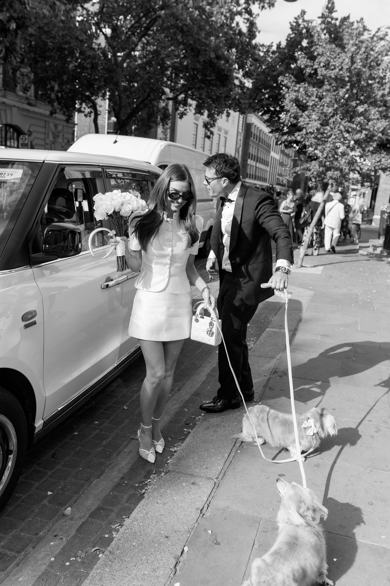Bride and groom walking cocker spaniels on a sunny city street.