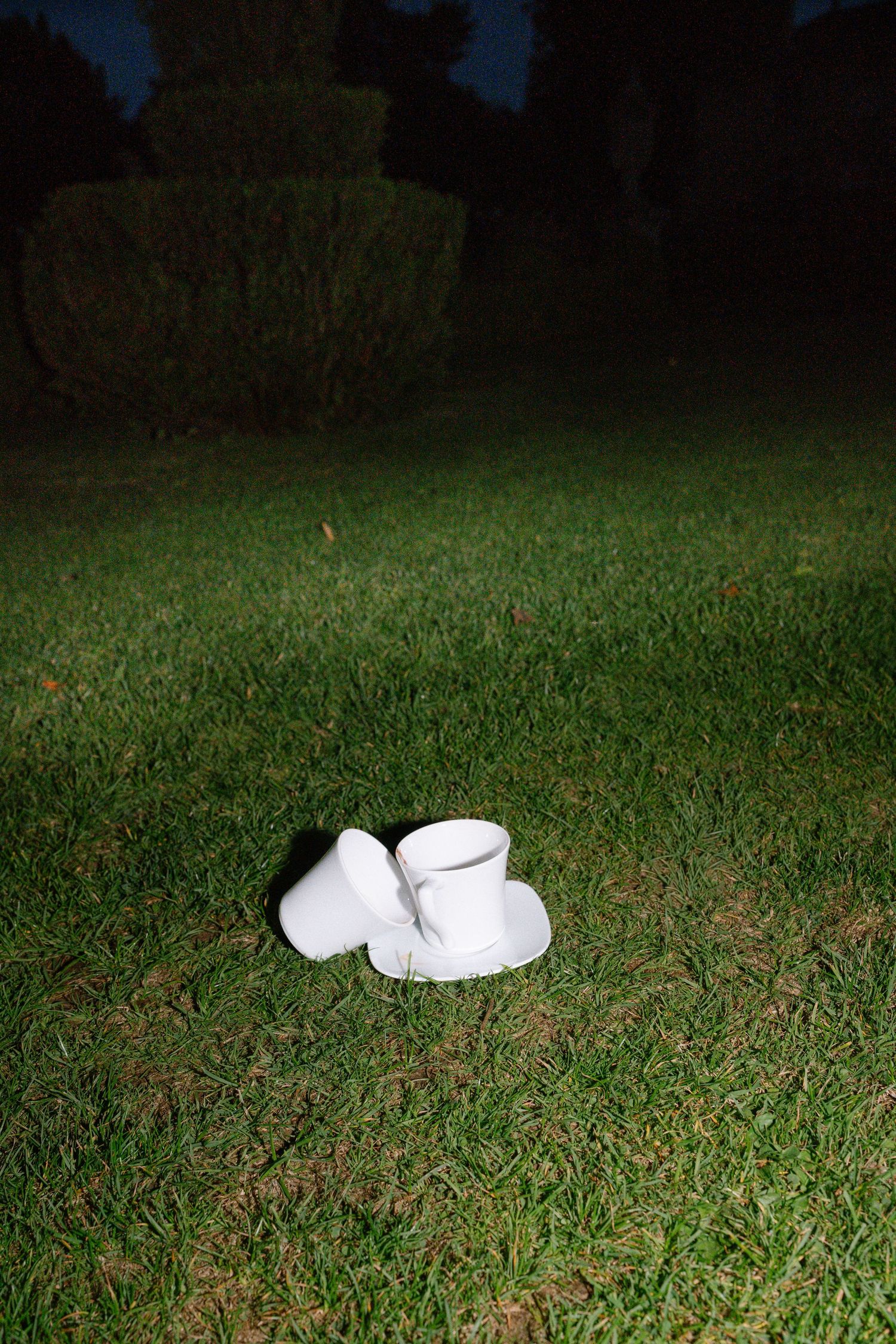 White shoes left alone on grass lawn at night.
