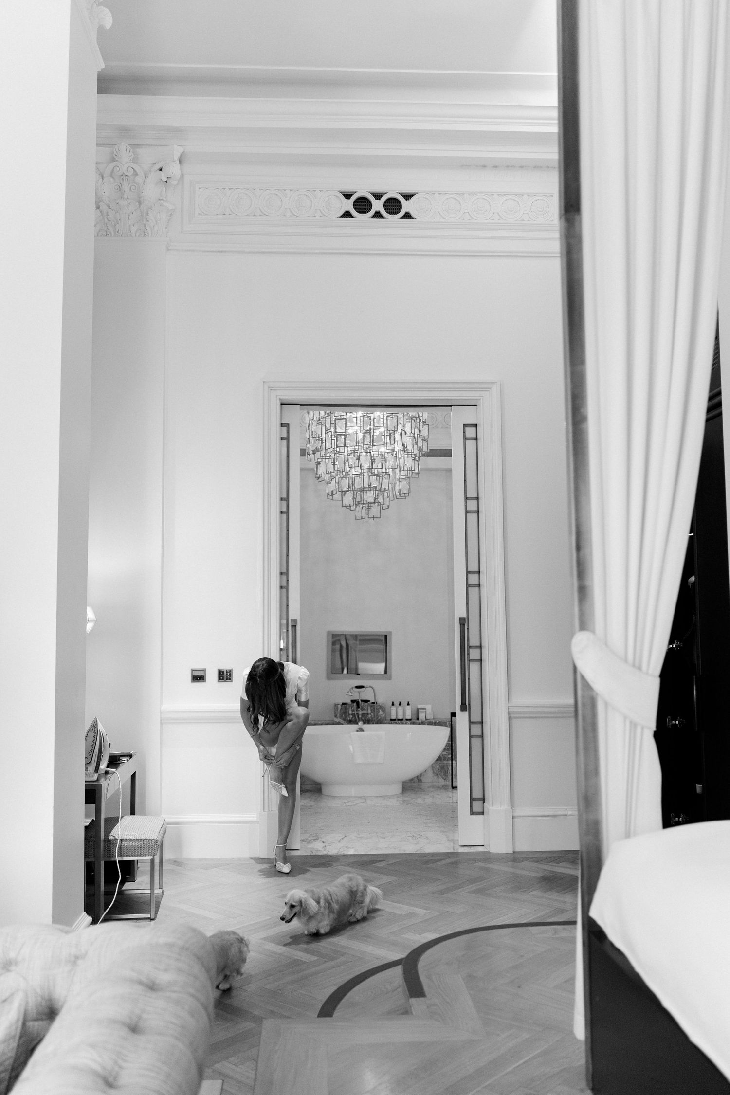 Bride getting ready in luxurious hotel suite with fluffy dogs on herringbone floor and elegant chandelier.
