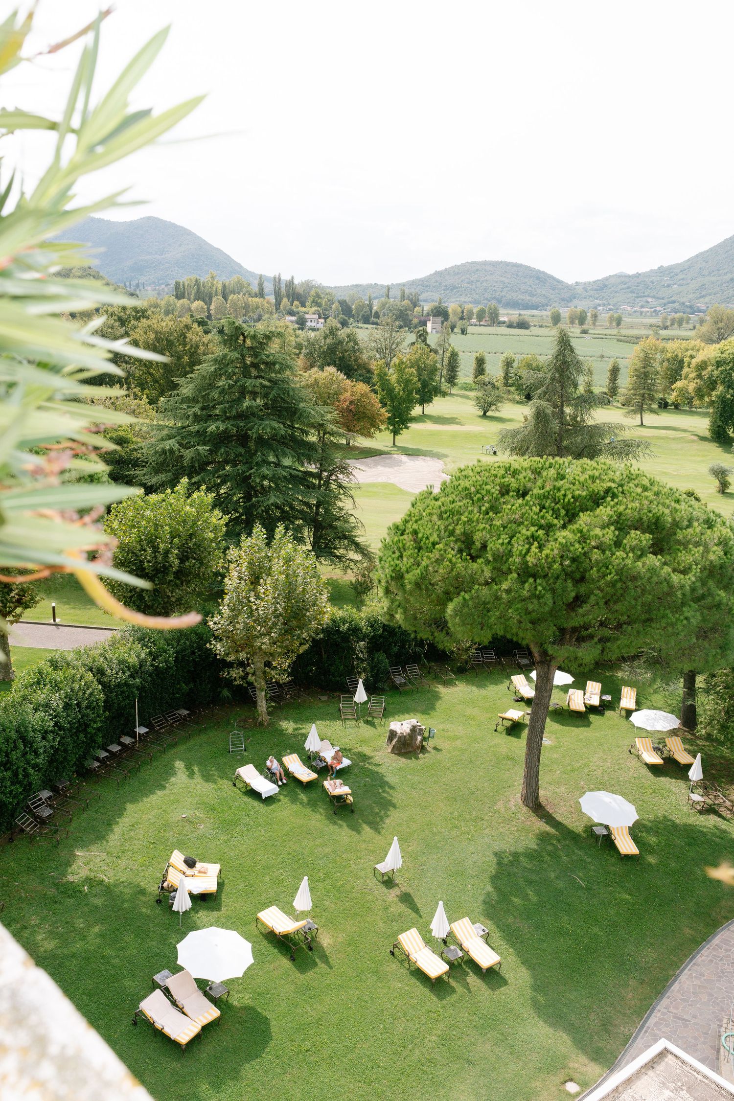 Aerial view of luxury resort garden with loungers and mountain scenery.