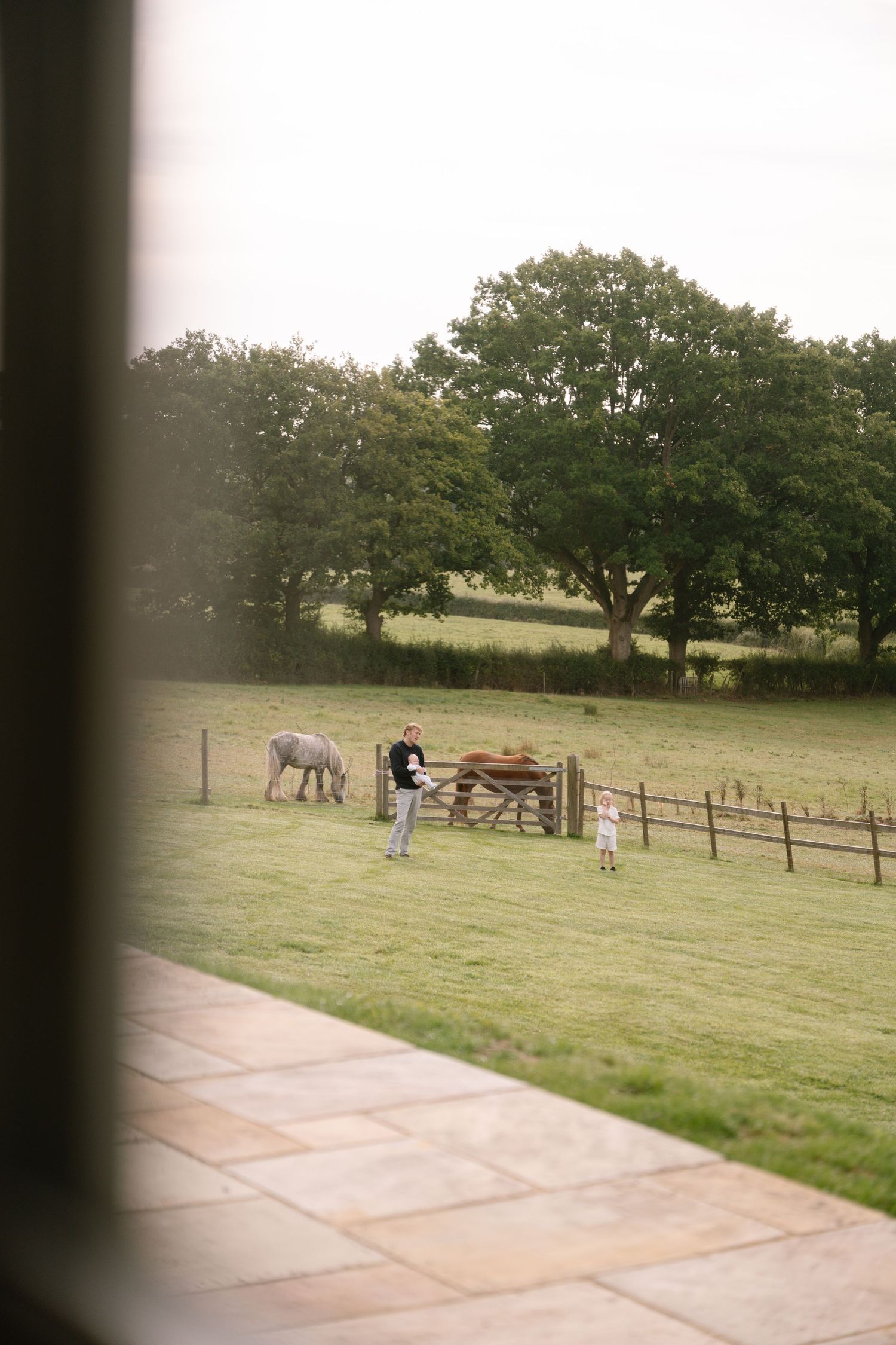 View of horses grazing in fenced pasture with trees visible in background.