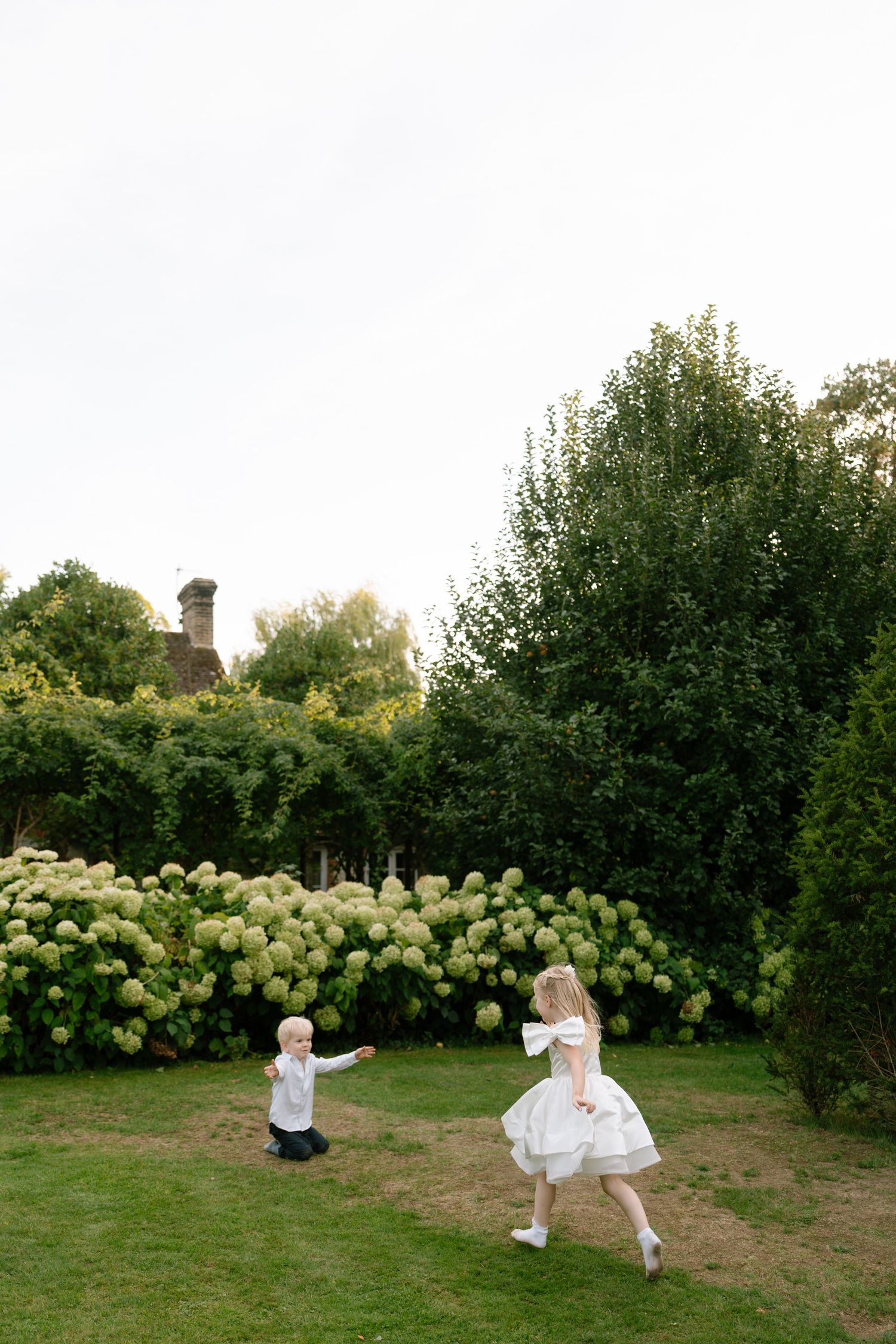 Two children in white outfits play and run through a garden with blooming hydrangea bushes.