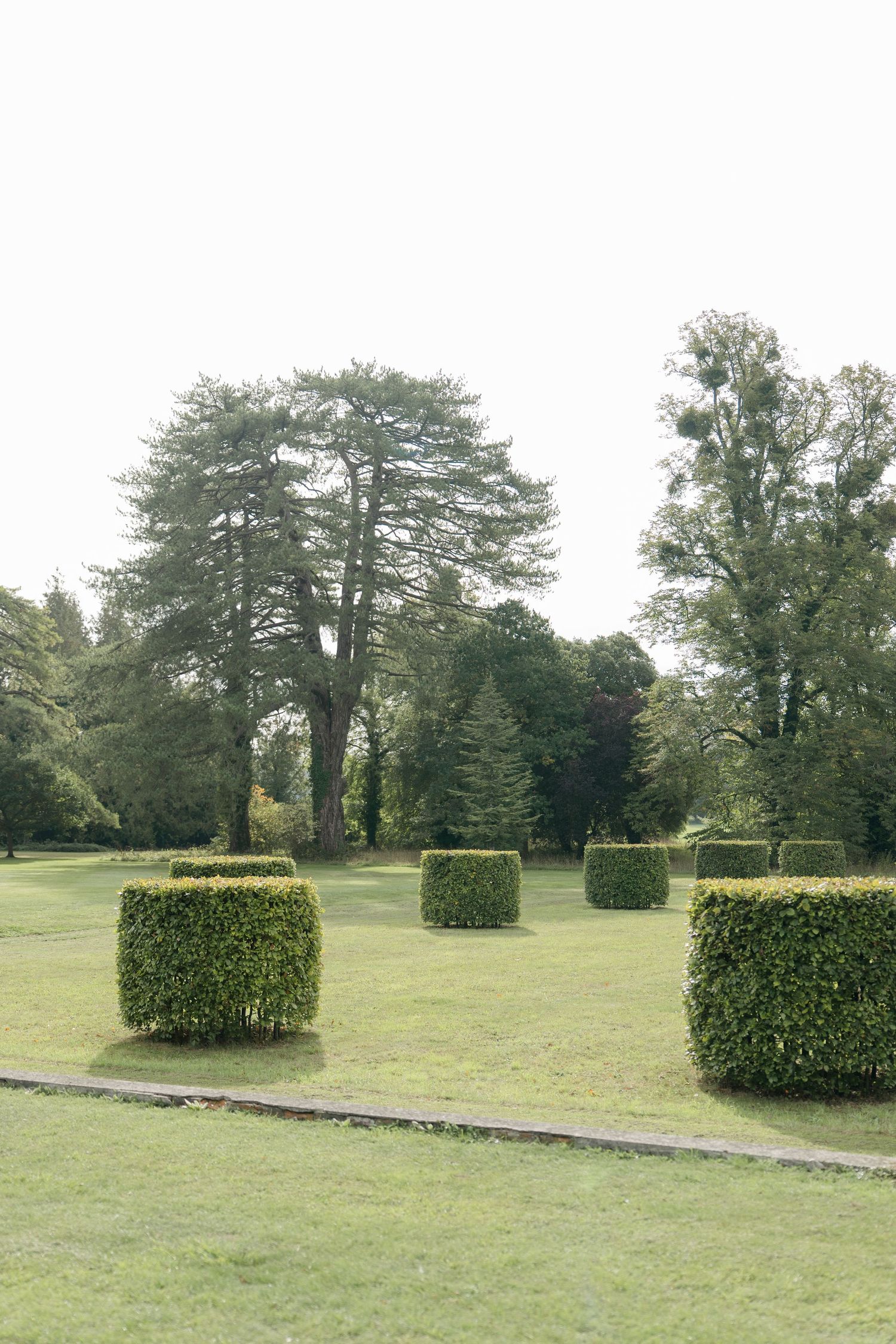 Formal garden with neatly trimmed square topiary hedges on a green lawn, surrounded by tall mature trees on an overcast day.