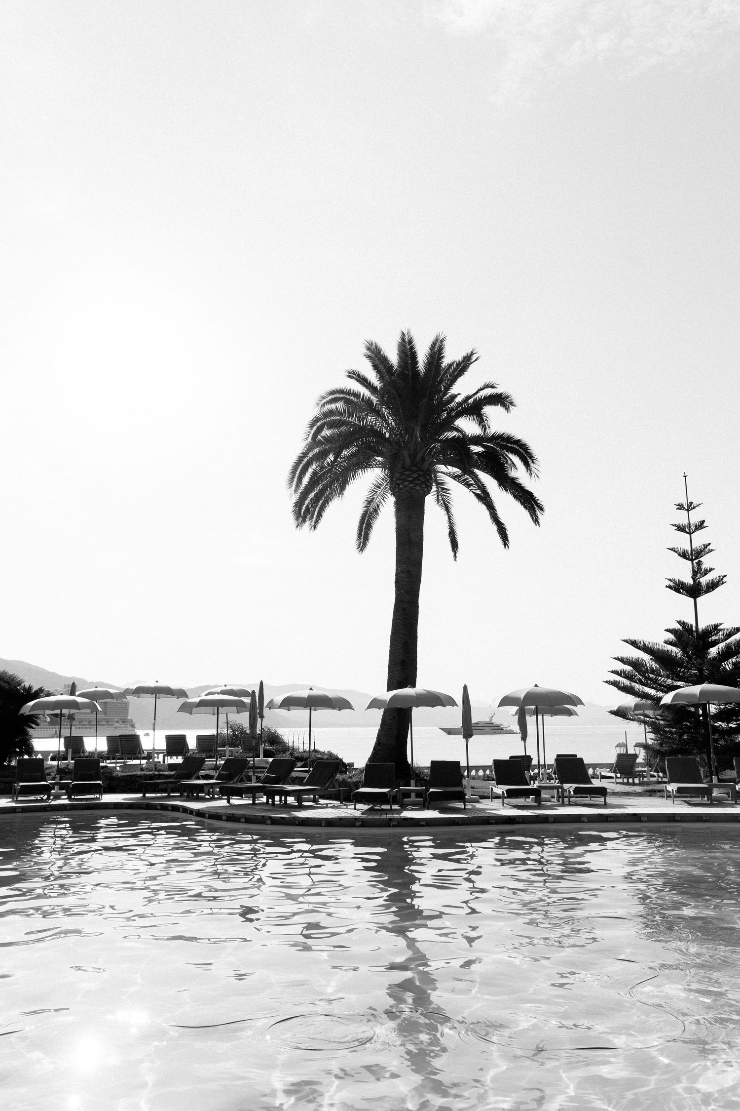 Black and white photo of a palm tree reflected in a resort pool with lounge chairs and beach umbrellas.