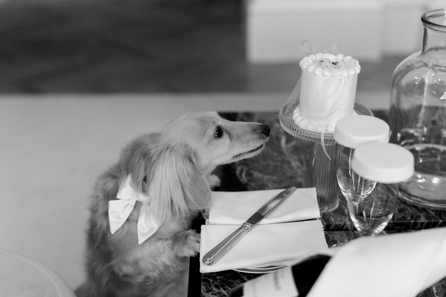 A golden retriever dog wearing a bow tie sits at a wedding reception table with a cake and glassware.