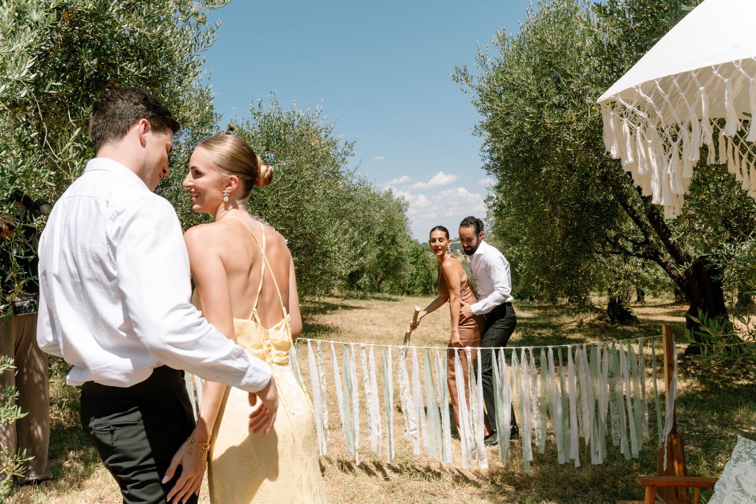 Panoramic view of an olive grove with people celebrating outdoors.