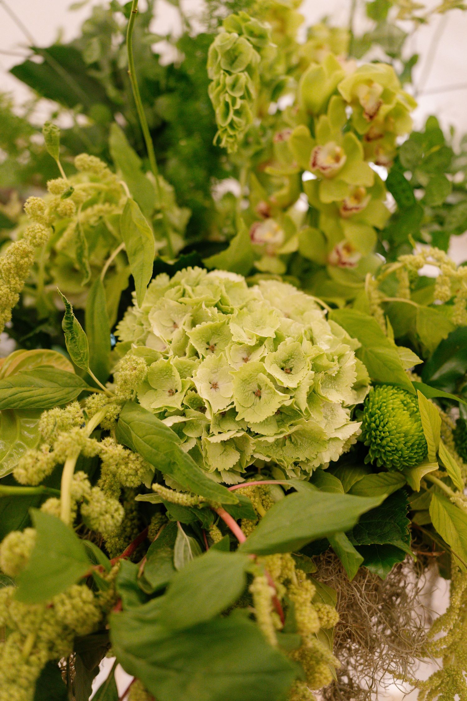 Fresh green hydrangeas and floral arrangements in soft natural light creating an elegant wedding display.