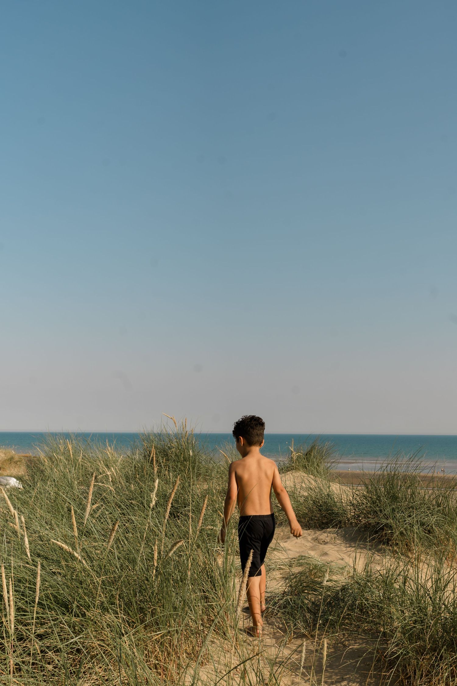 Person walking along sandy beach path through coastal dune grass on a sunny day.