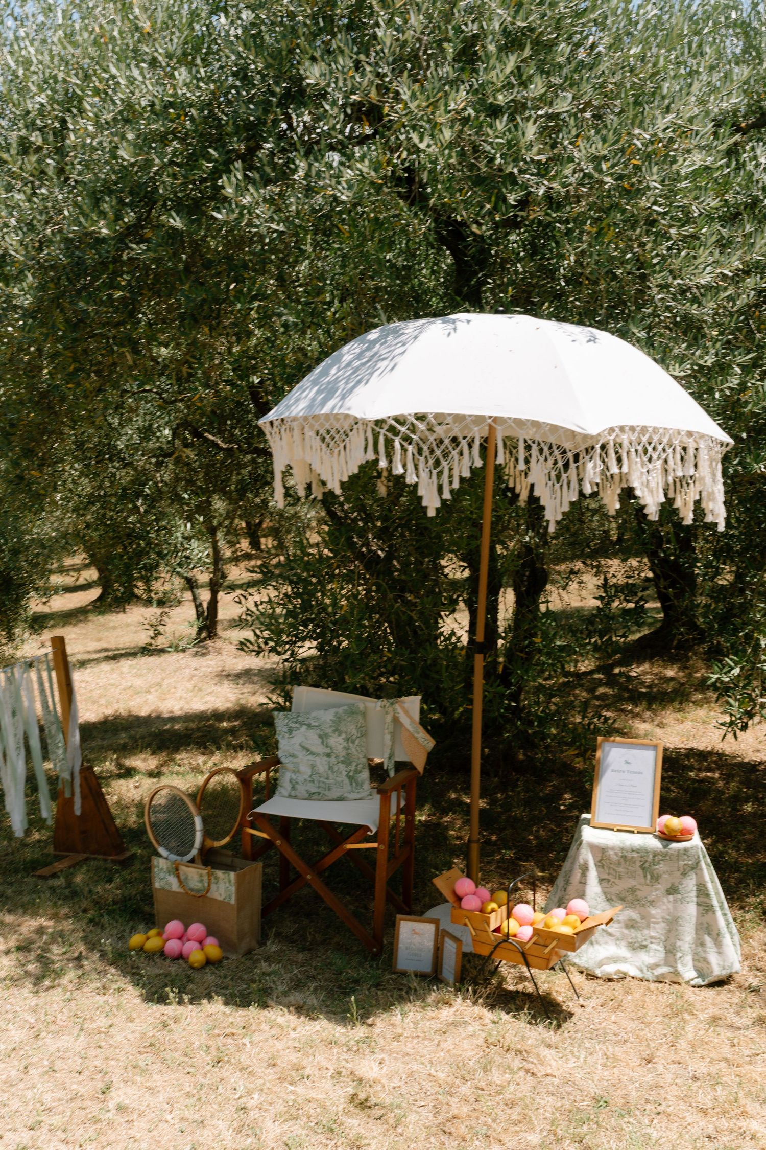 White parasol and vintage furniture set up in an olive grove for an outdoor event.