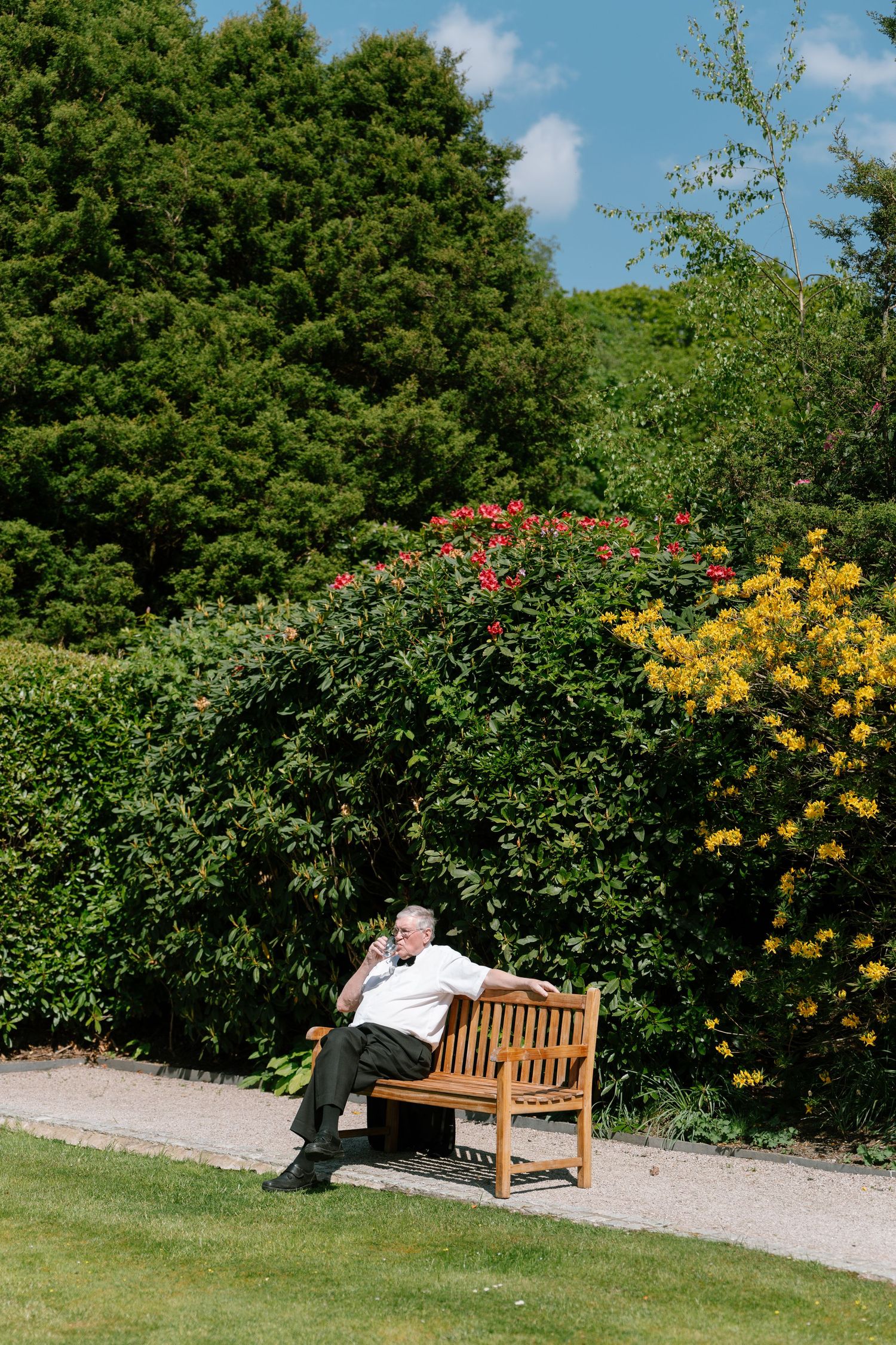 A wooden bench sits among colorful flowering bushes in a sunny garden setting.