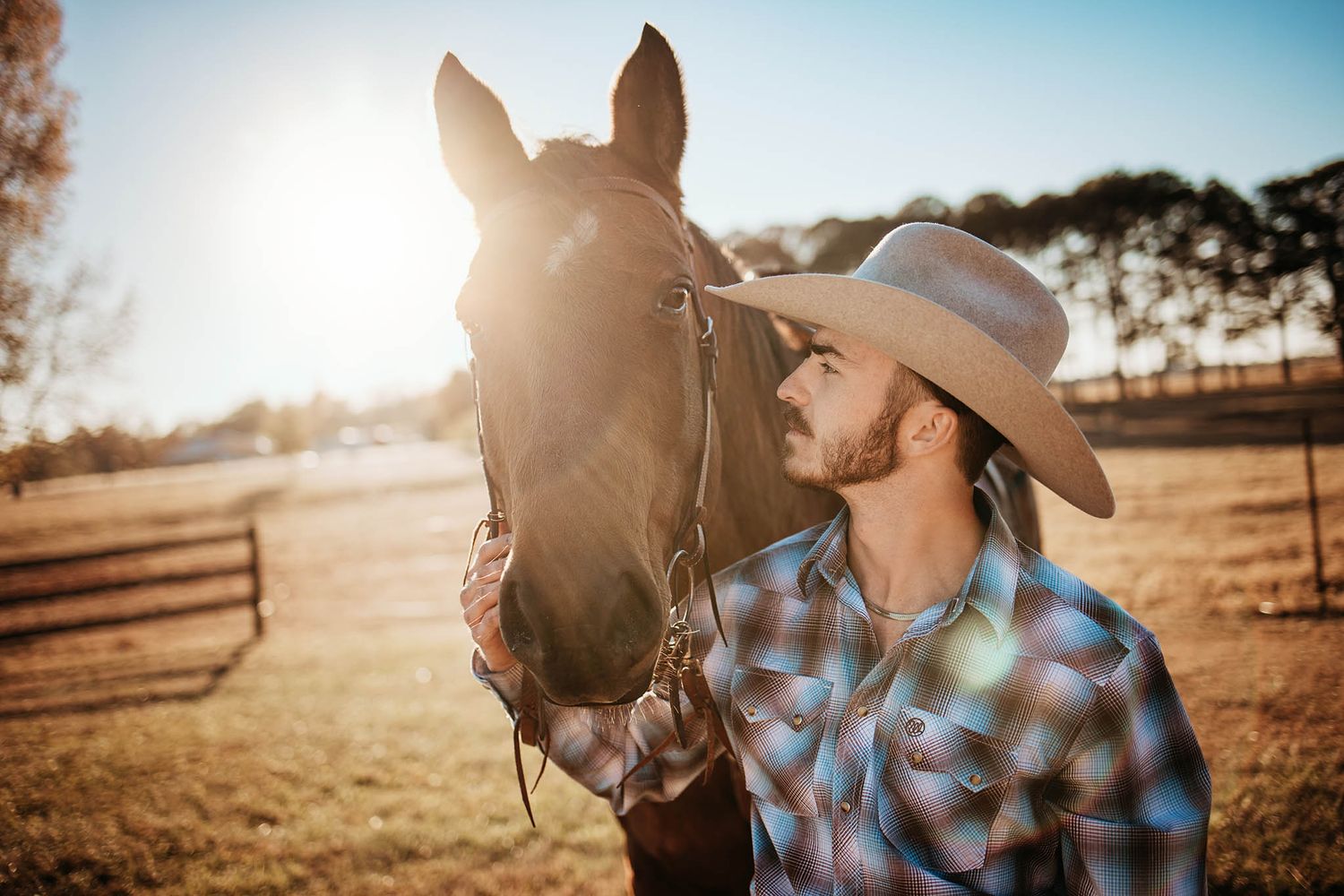 A cowboy in plaid shirt and hat stands with his horse in a sunlit pasture during golden hour.