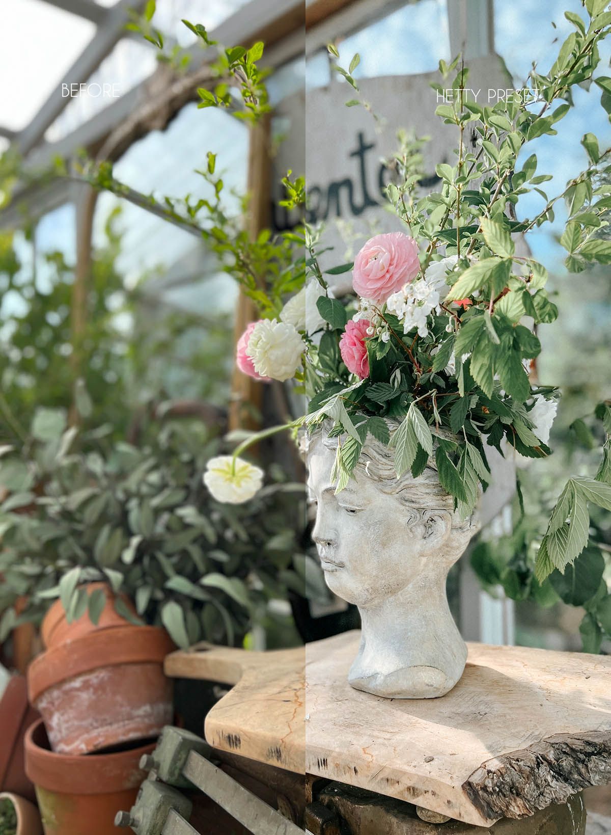 Classic white bust planter with pink roses and greenery in greenhouse setting.