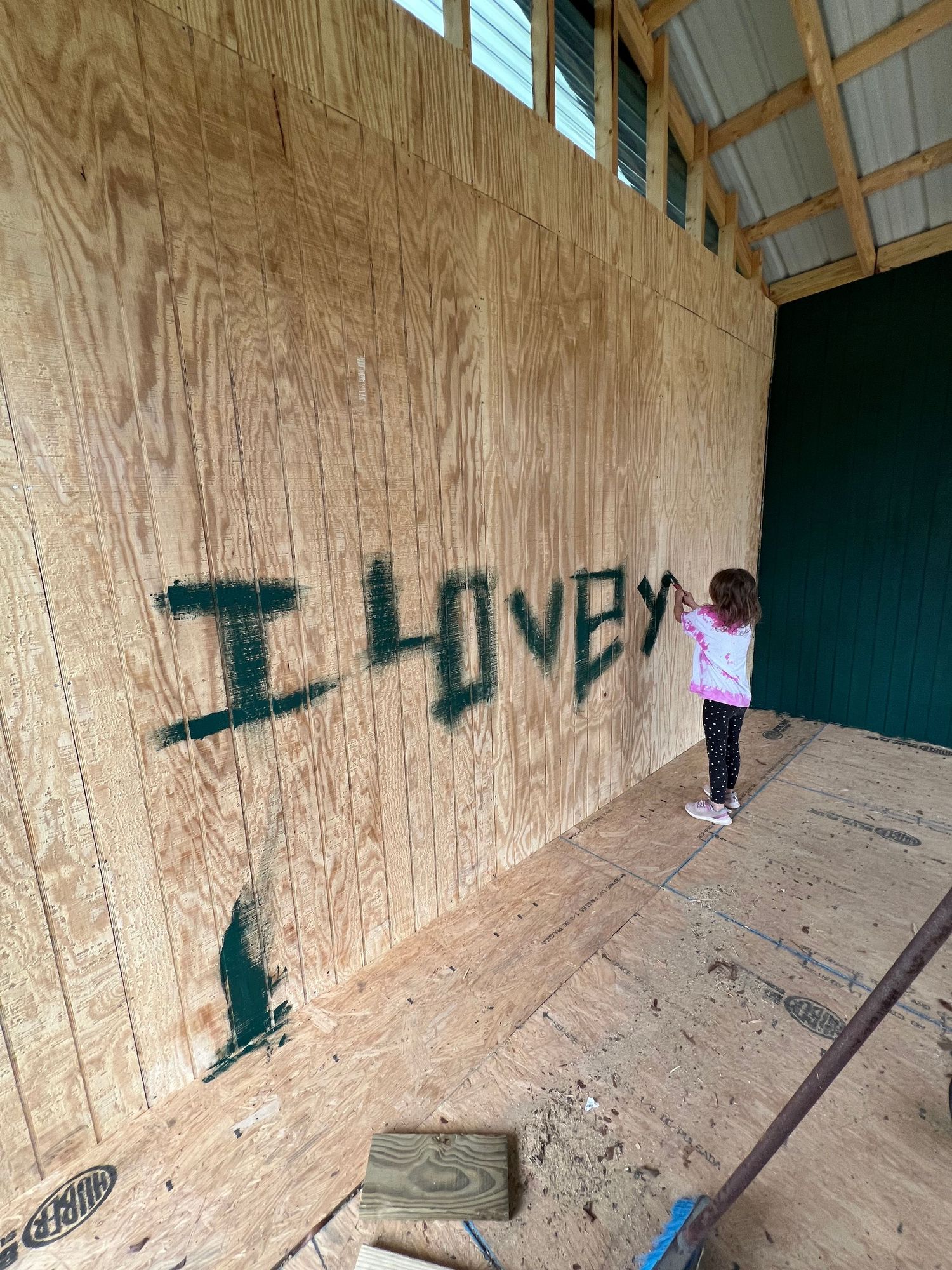 Interior of unfinished wooden structure showing graffiti spray painted on oriented strand board walls.