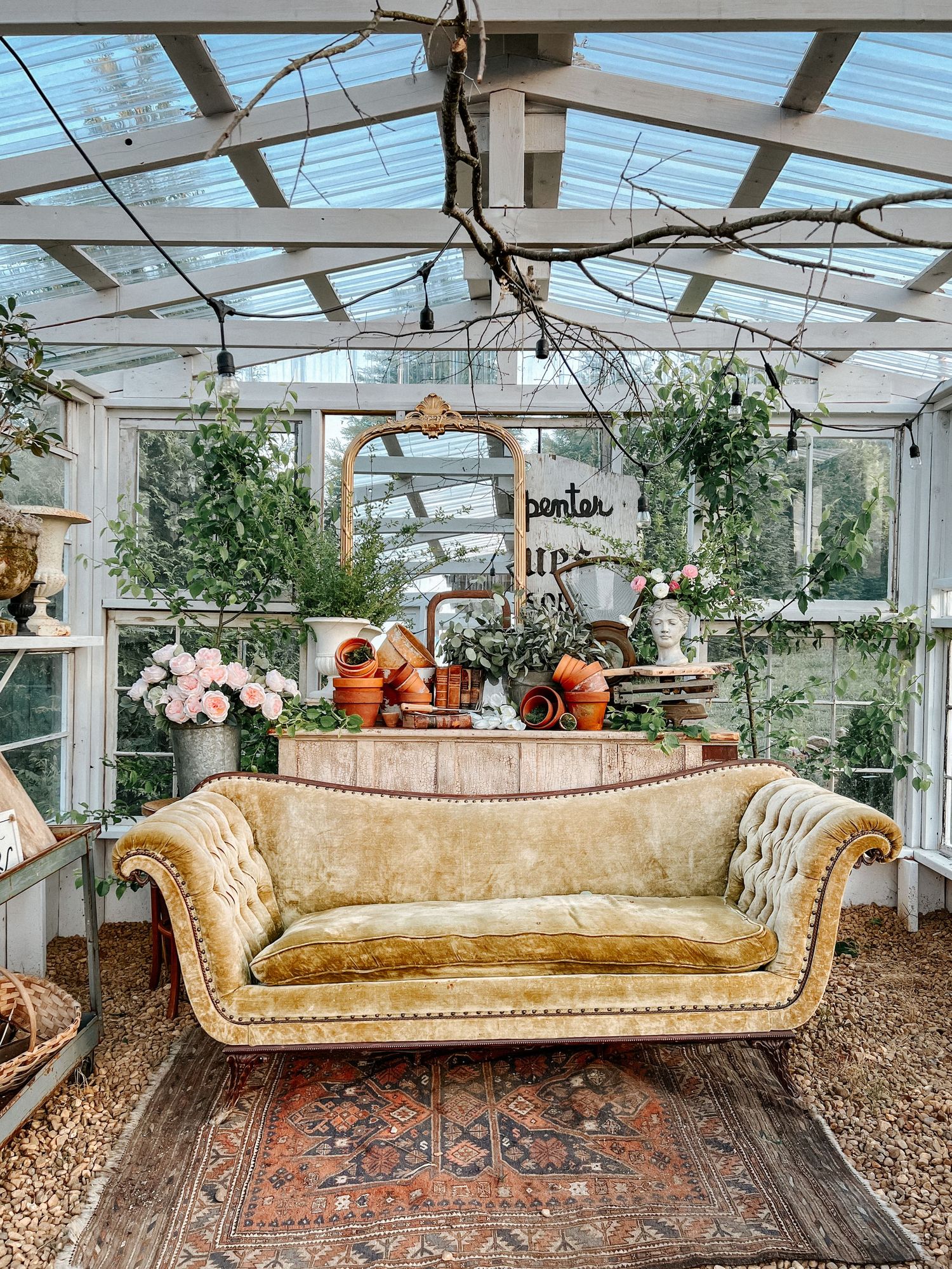 Vintage gold chaise lounges arranged in a greenhouse with ornate rugs and natural lighting.
