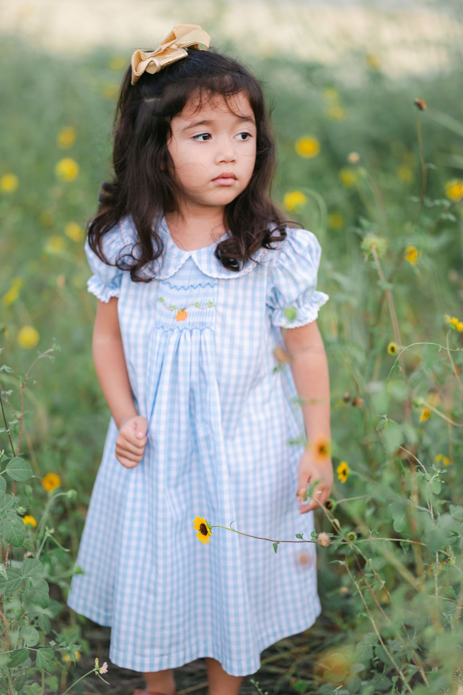 A child in a blue and white checkered dress stands among wildflowers in a meadow.