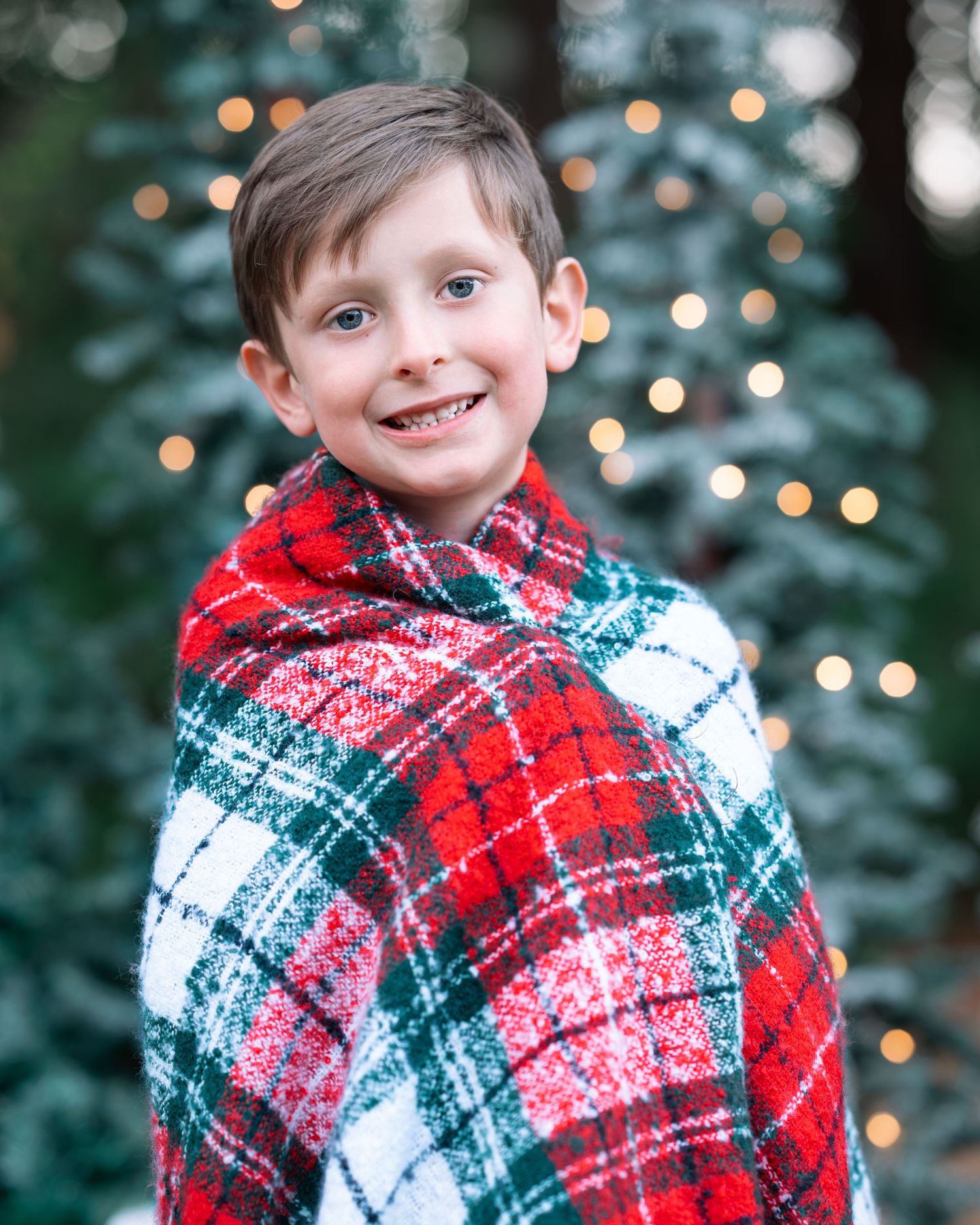 Festive holiday portraits with red and green plaid blanket against twinkling lights.