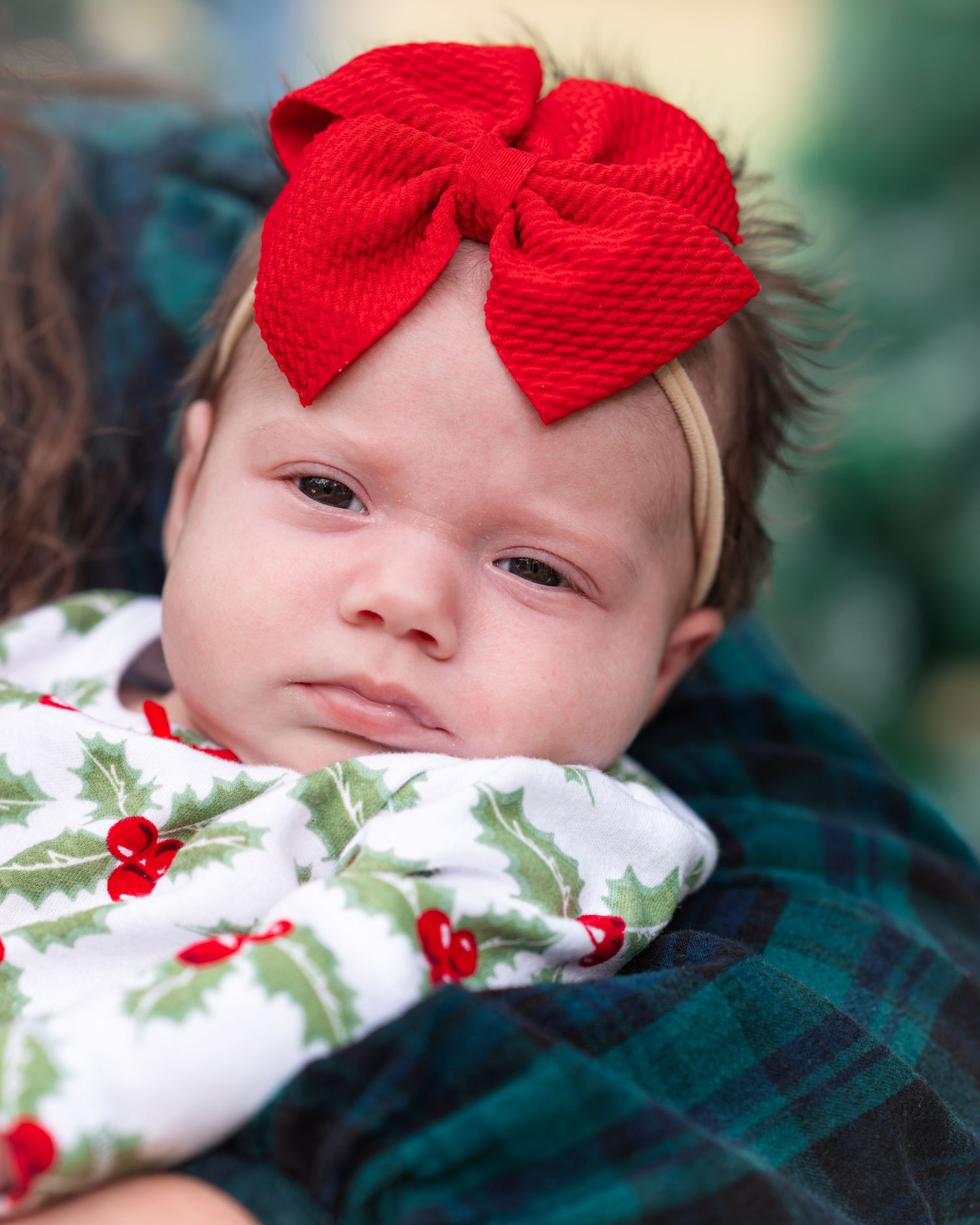 Close up of red bow and holiday outfit against blue plaid fabric.