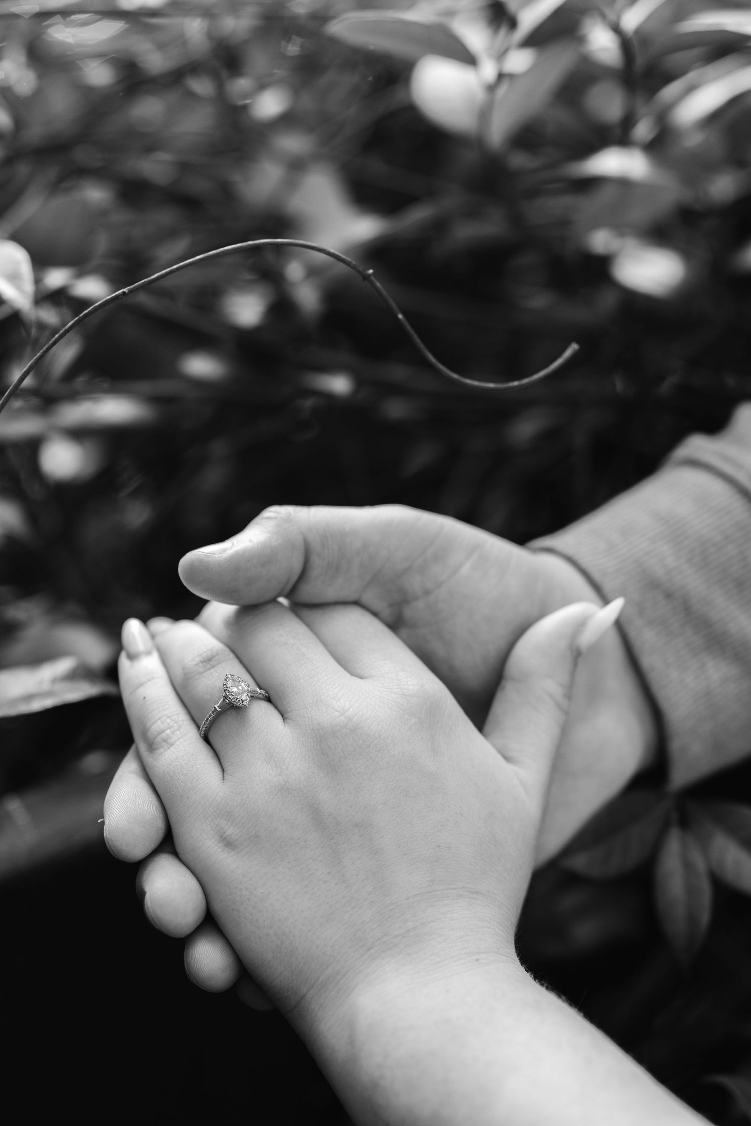 A series of black and white photographs showing two hands clasped together in an intimate, romantic pose.