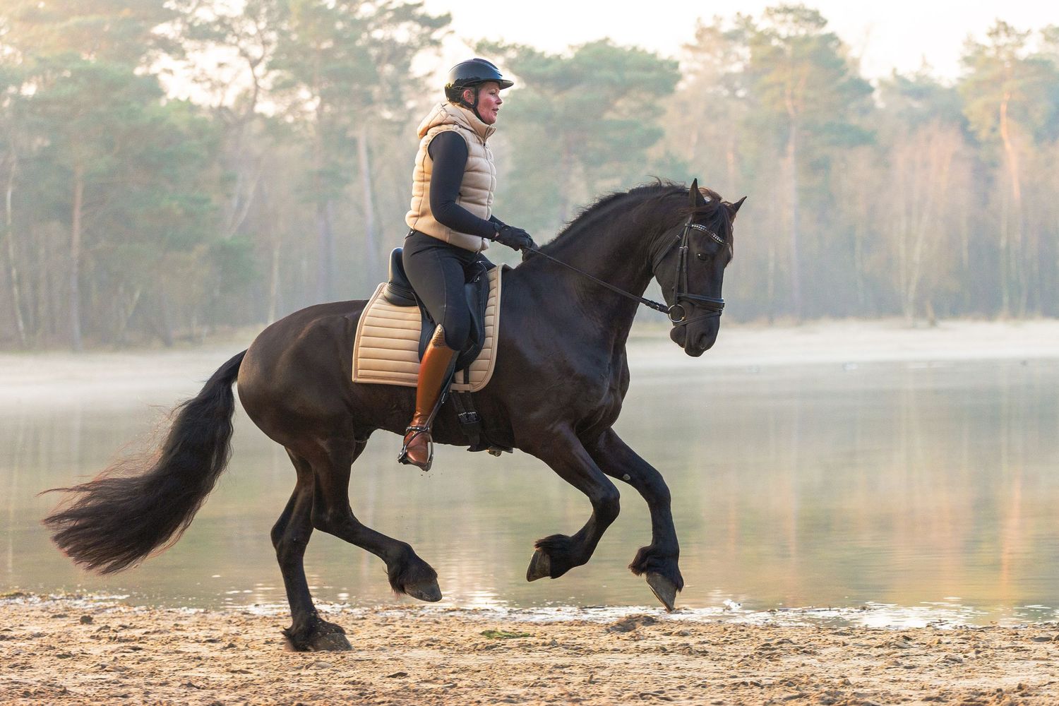 A rider in equestrian gear canters a black horse along a sandy shore with misty trees in the background.