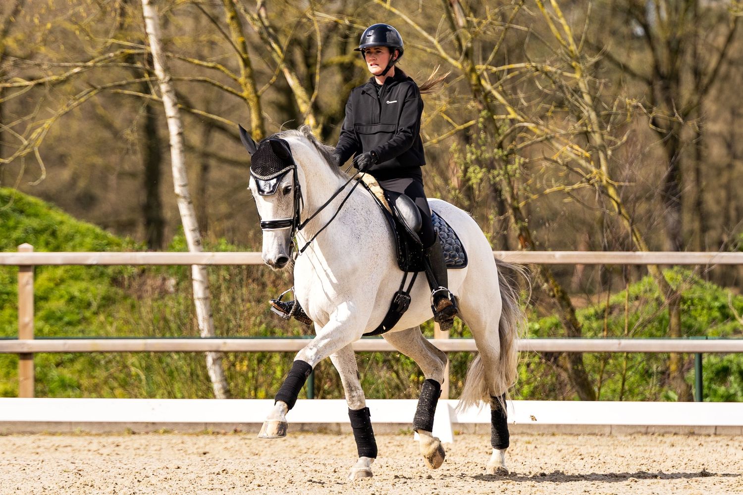 A rider in black attire performs dressage on a white horse in an outdoor arena surrounded by trees.