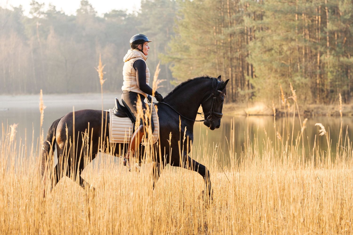 Equestrian rider on a black horse in golden autumn fields near a misty forest lake at sunrise.