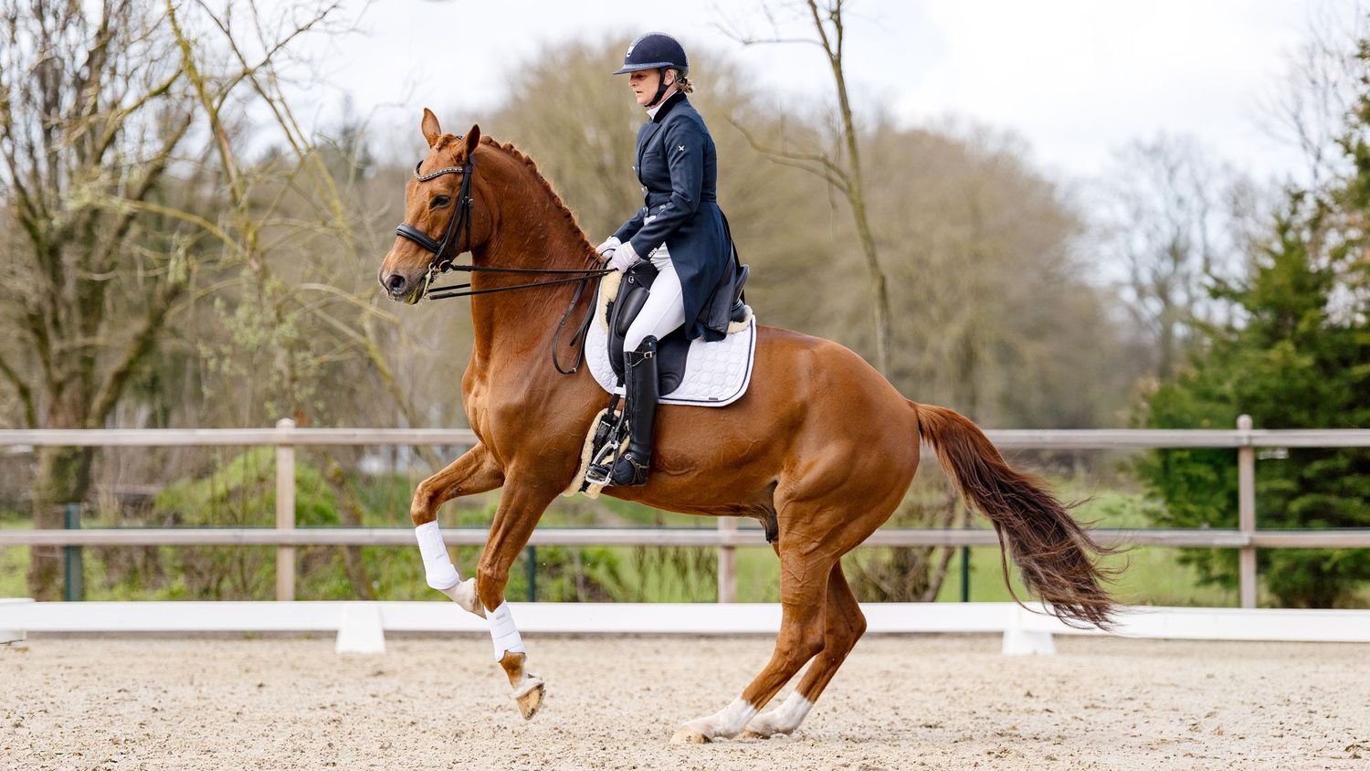 A rider in navy attire performs dressage on a chestnut horse in an outdoor arena with wooden fencing.