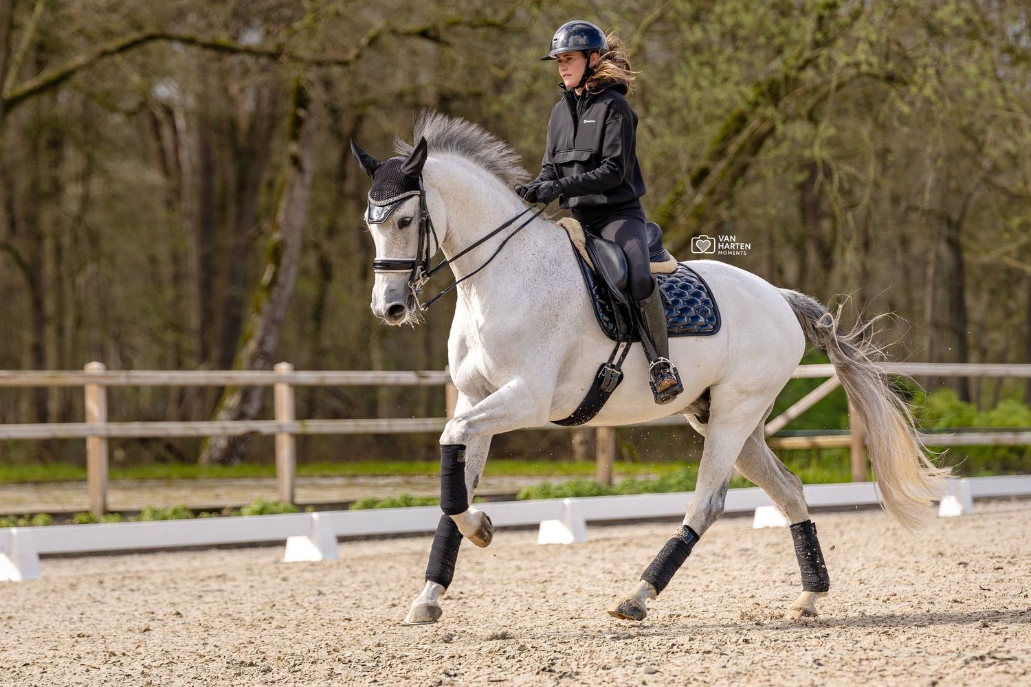 Rider in black attire performs dressage on a gray horse in an outdoor sand arena surrounded by wooden fencing.
