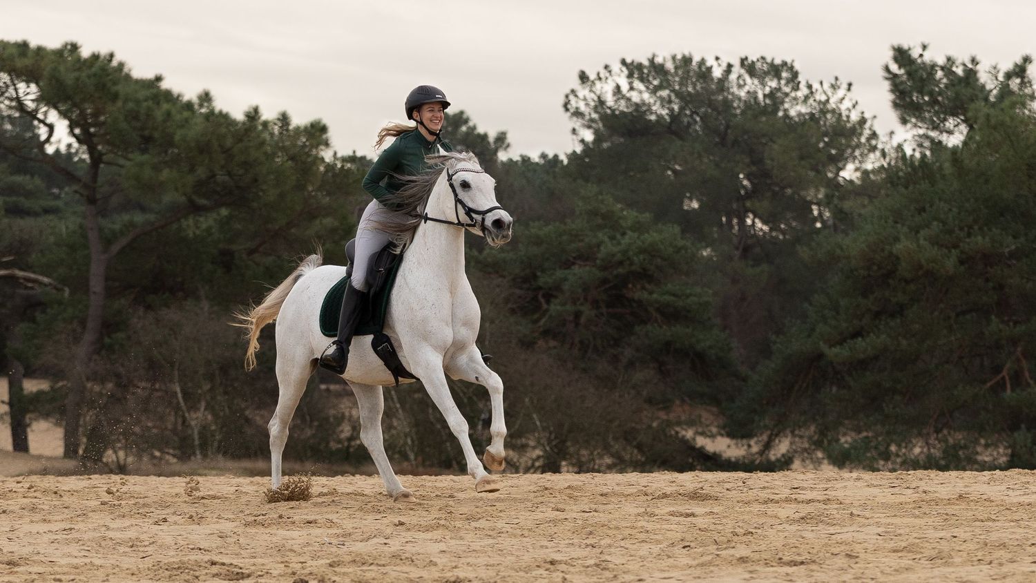 Arabische schimmel merrie samen met ruiter in galop over de Loonse en Drunnense duinen