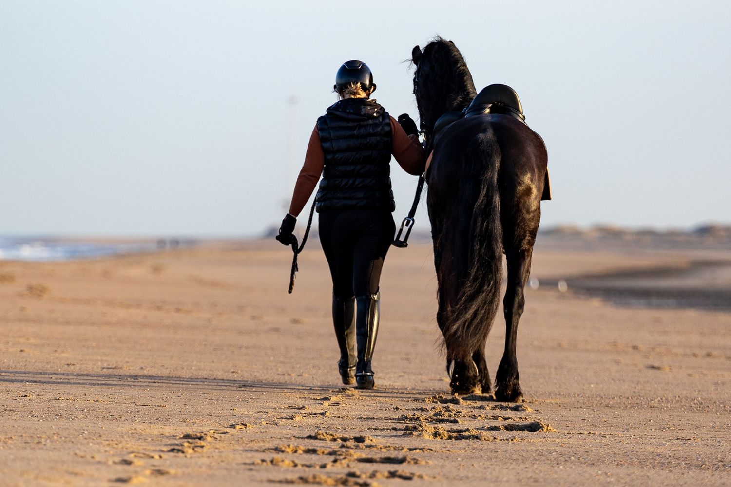 Person walking a dark horse along a sandy beach, viewed from behind on a sunny day.