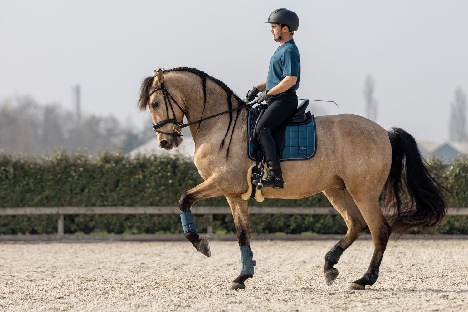 A rider in a helmet practices dressage on a buckskin horse in an outdoor arena.