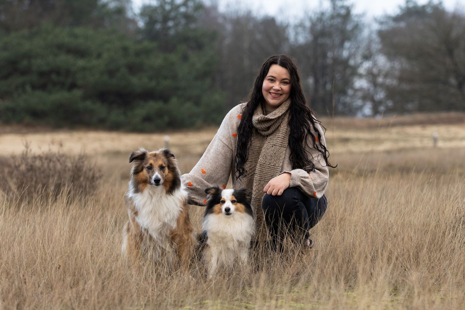 Een collie en shelty samen met hun eigenaresse gefotografeerd in de Loonse en Drunense duinen