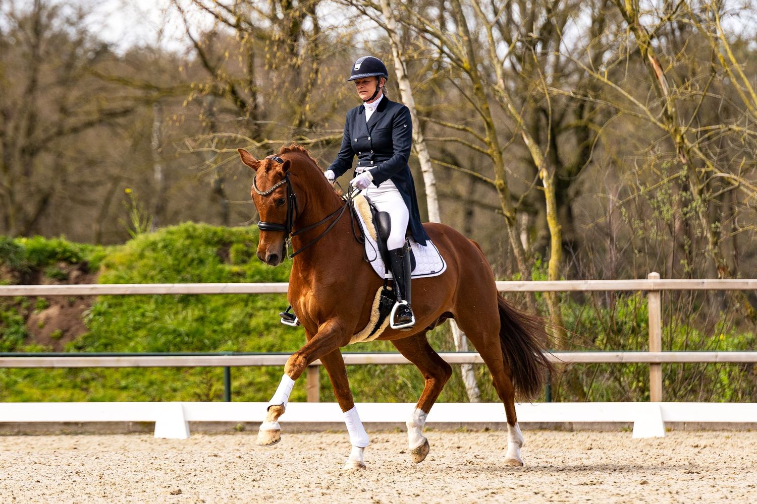 A rider in formal dressage attire performs on a chestnut horse in an outdoor sand arena surrounded by trees.