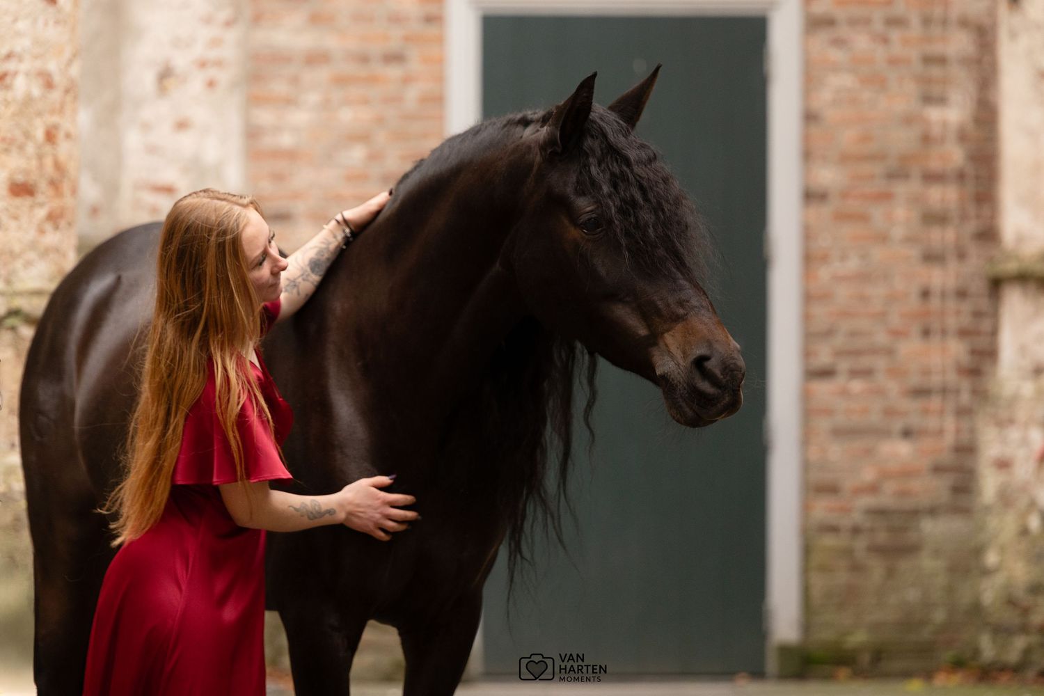 Spaanse merrie samen met eigenaresse in sjieke rode jurk in de oude kerk in Dongen