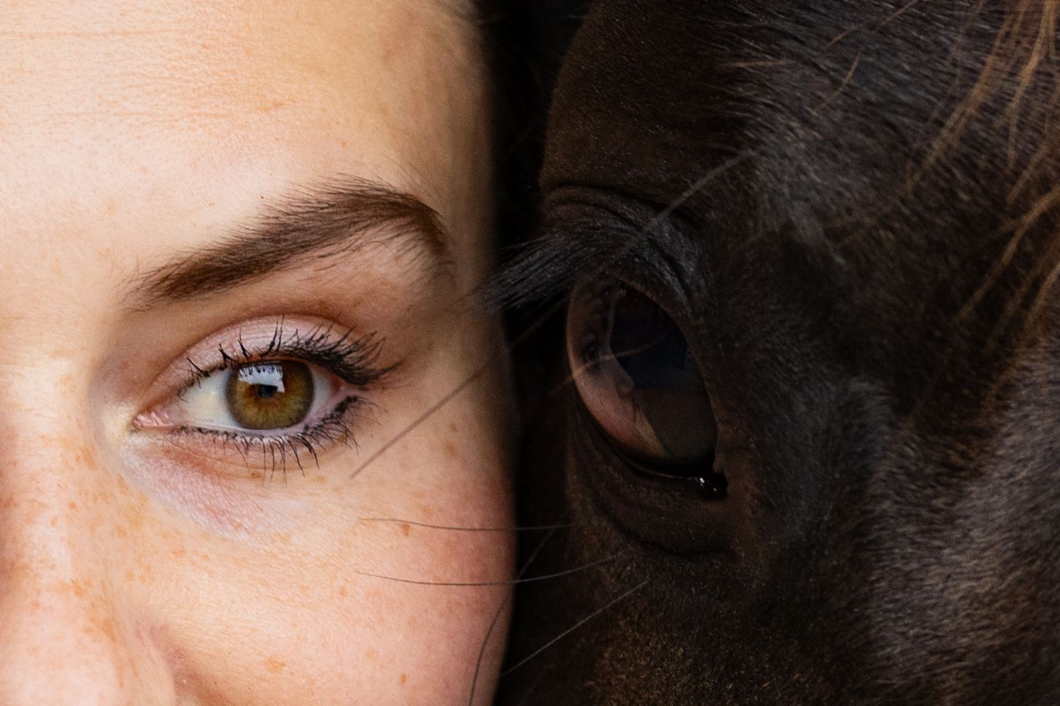 Blackfoto close up van een paardenoog en een mensenoog direct naast elkaar