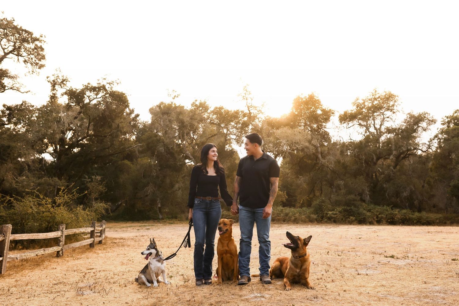 A couple and their dogs stand together against a warm sunset in a rustic outdoor setting with split rail fencing.