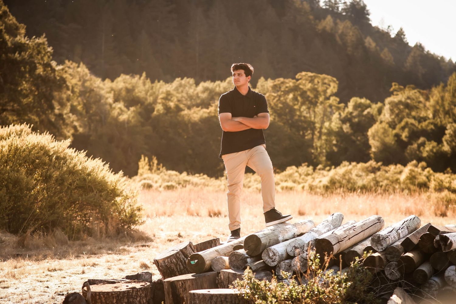 A person standing on top of logs with a scenic mountain in the background at sunset.