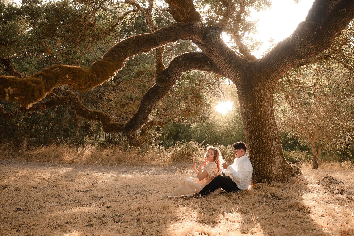 Two people sit together under a majestic oak tree during golden hour in a tranquil nature setting.