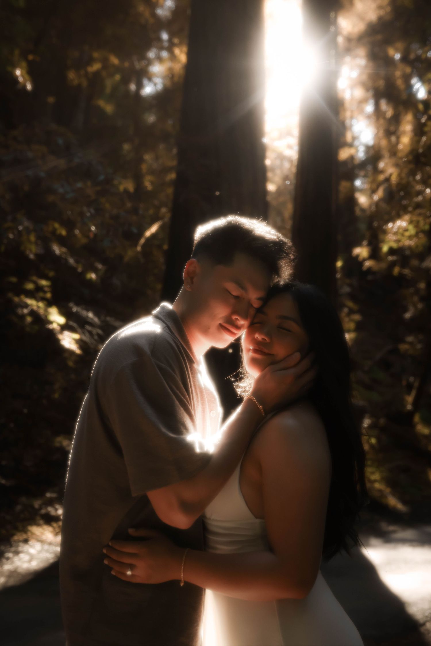 A couple shares an intimate embrace in a sun-dappled forest setting with dramatic backlit lighting creating a romantic silhouette.