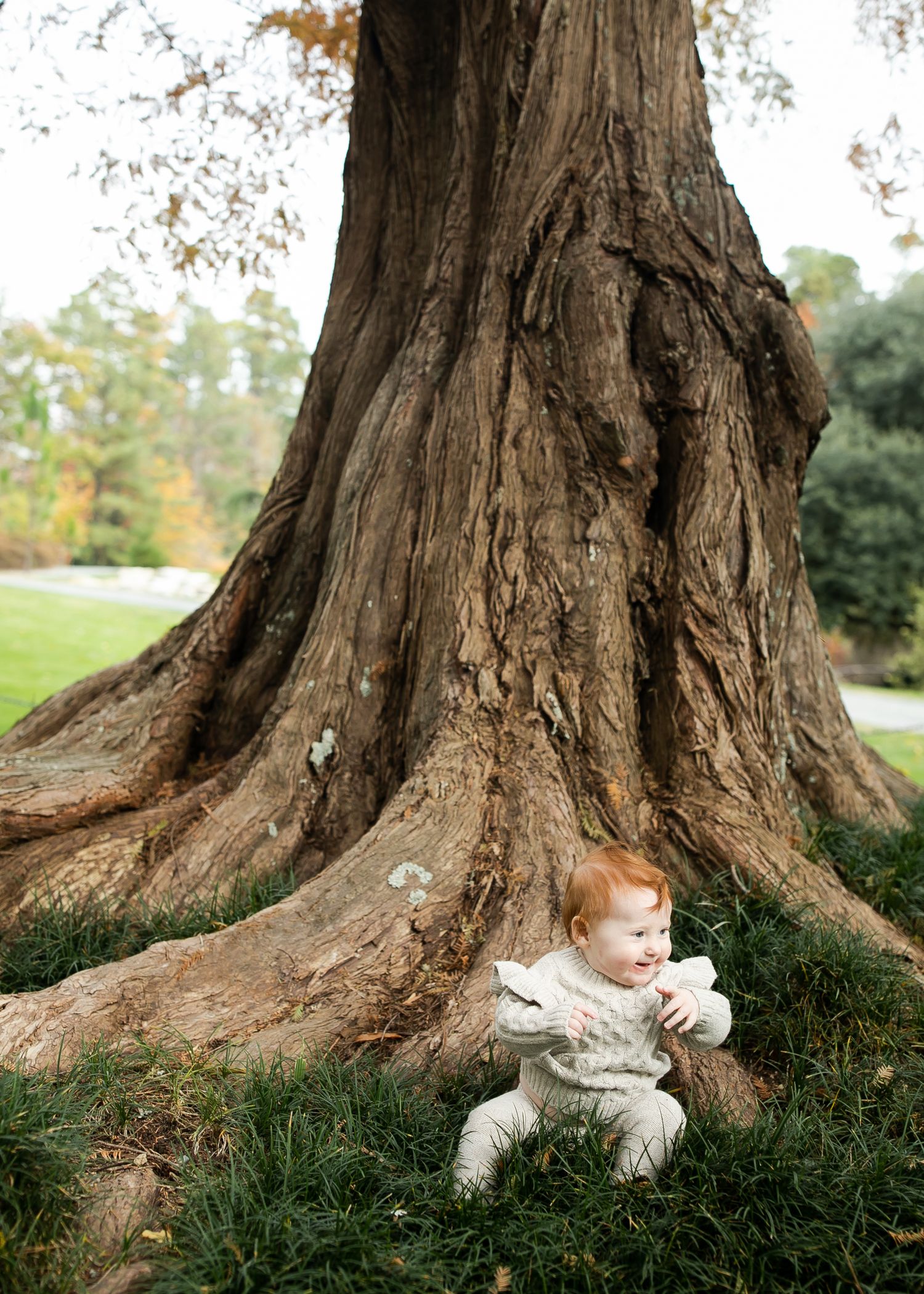 A small child sits on a grassy patch beside a massive tree trunk.