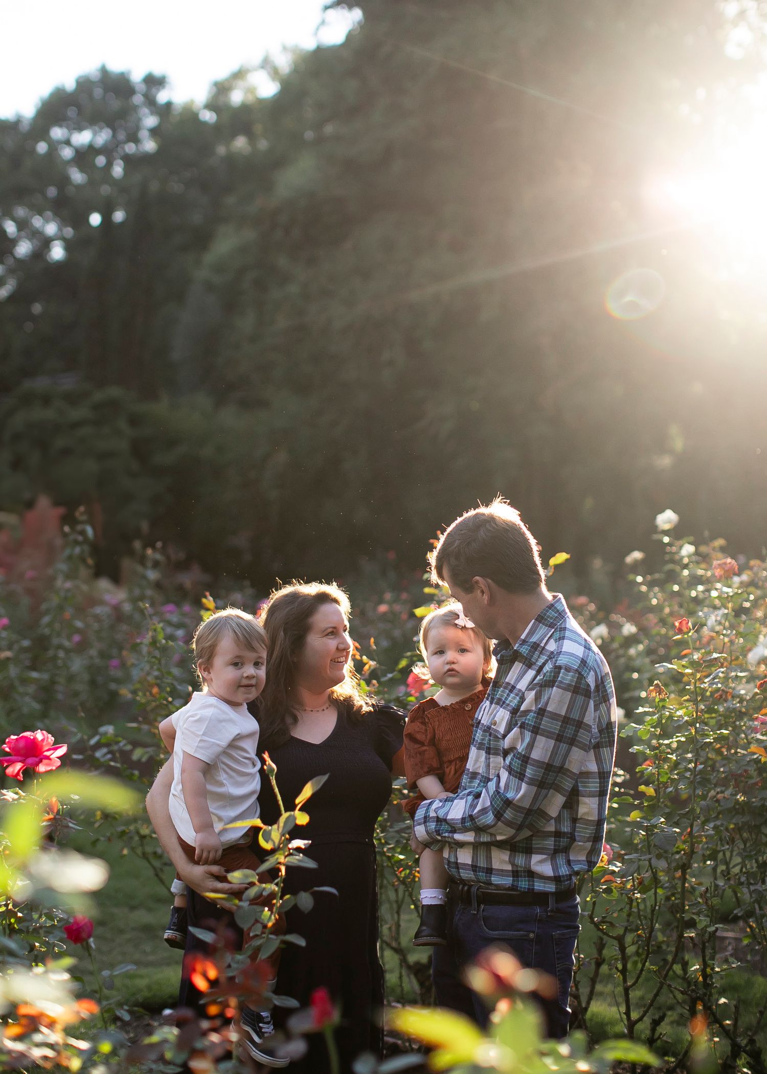 A family enjoying a sunset moment together in a blooming rose garden with golden sunlight streaming through the trees.
