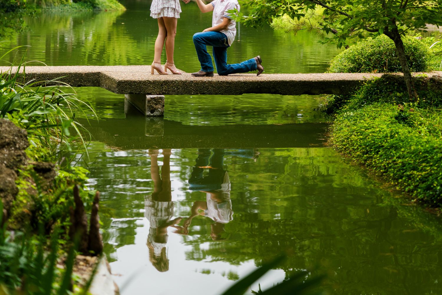 People walking along a scenic pond path surrounded by lush green foliage on a sunny summer day.