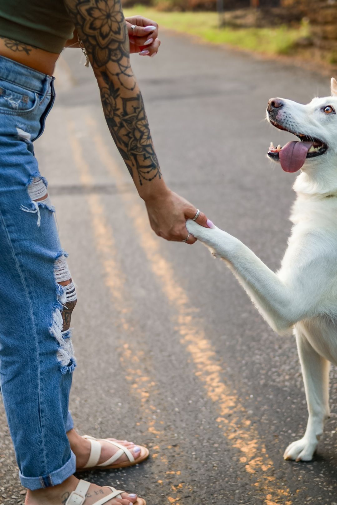 Timeless portrait of a mother and dog taken by Perry Posed