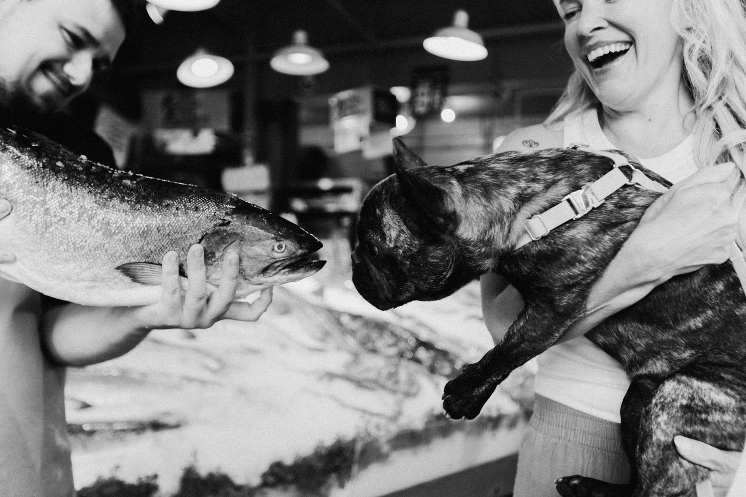 Black and white photo of laughing couple holding a large fish near a curious cat inside a fish market.