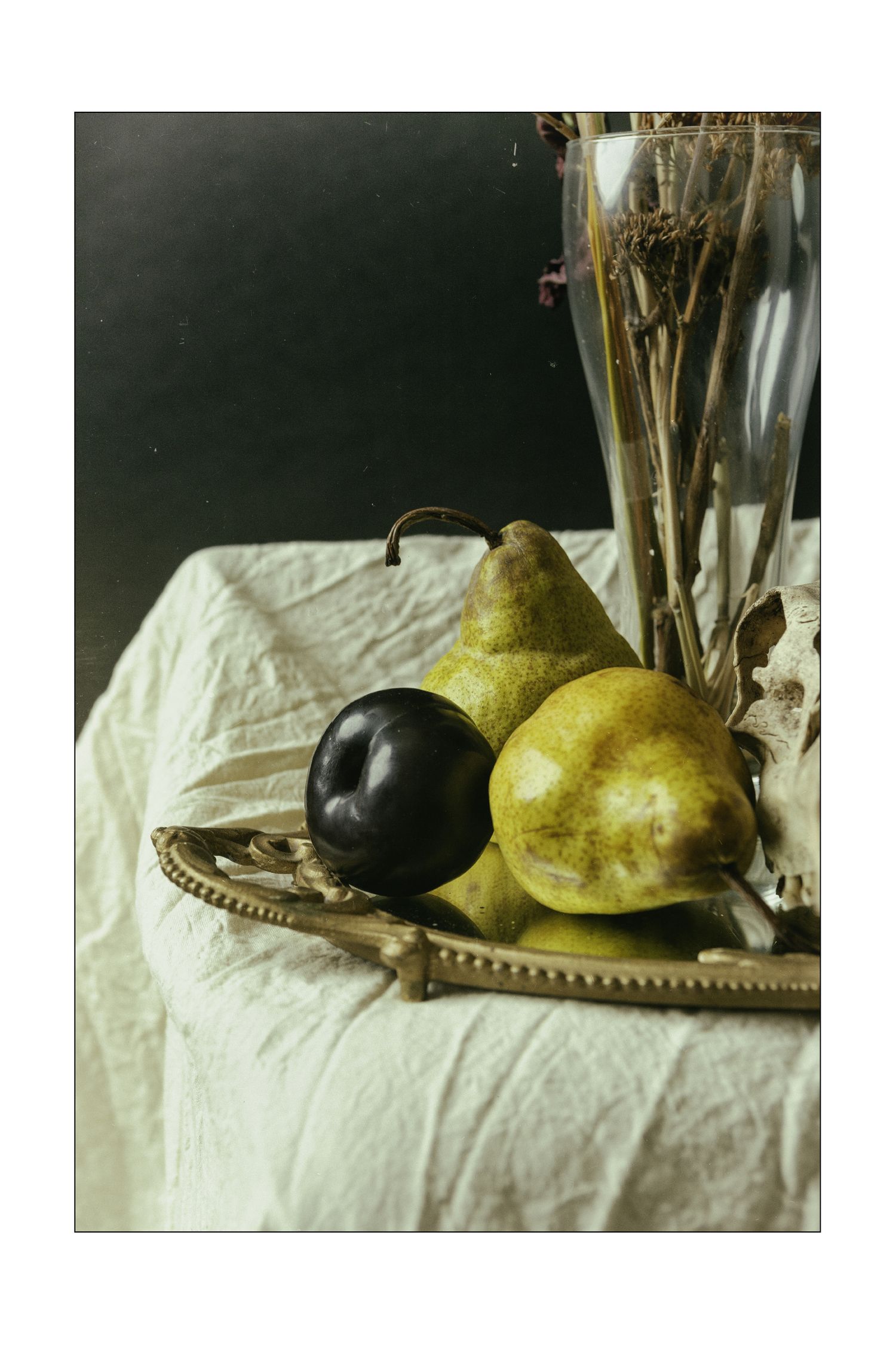 Seattle Editorial Family & Maternity Photography Captured by Dasha Denger of White Moth Studio