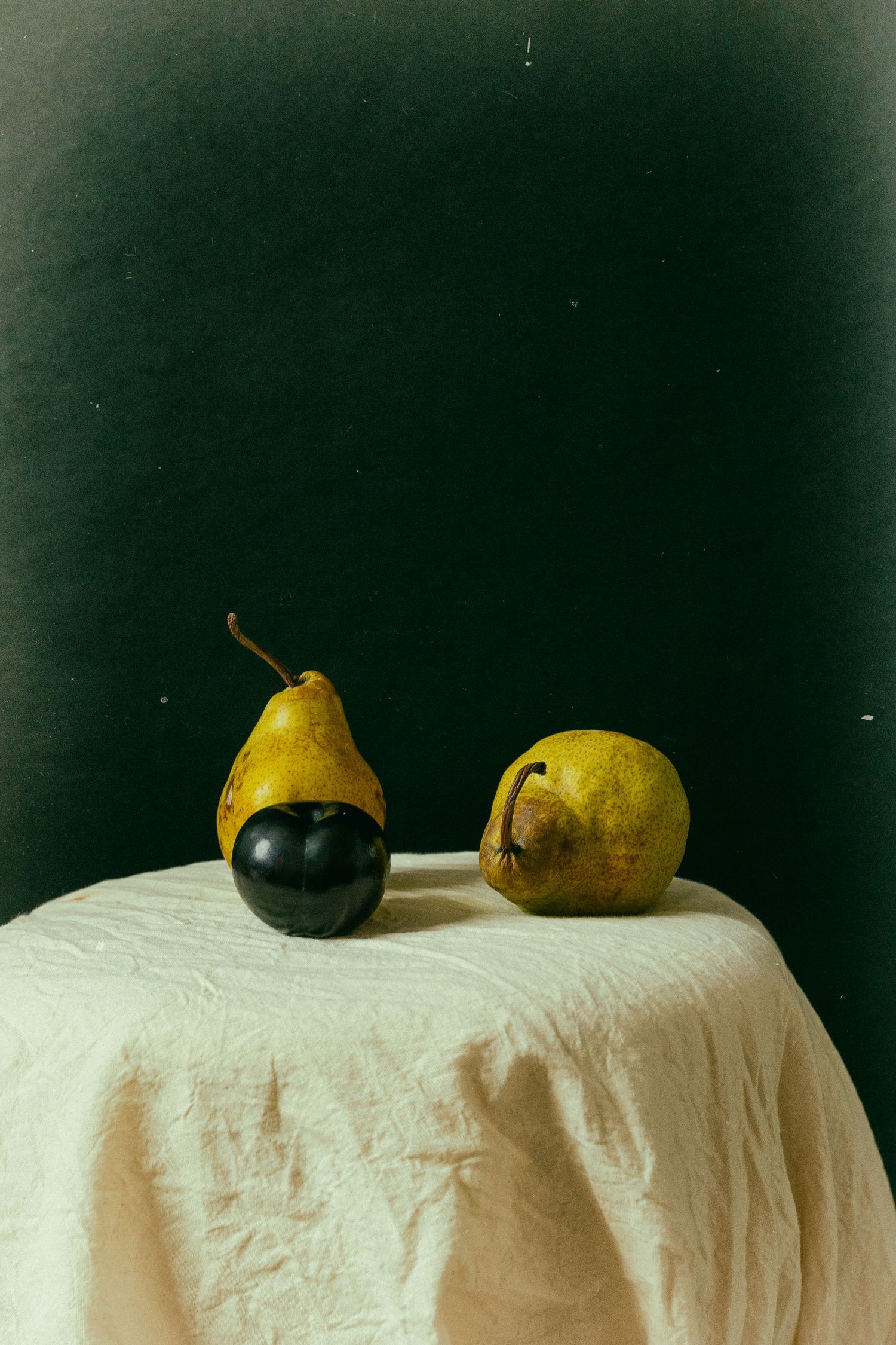 Seattle Editorial Family & Maternity Photography Captured by Dasha Denger of White Moth Studio